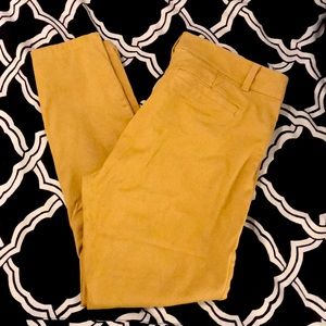 **LAST CHANCE**LOFT Marisa Petite Yellow Pant